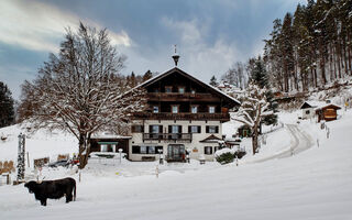 Náhled objektu Berghotel Hinterduxerhof, Kufstein, Wilder Kaiser - Brixental / Hohe Salve, Rakousko