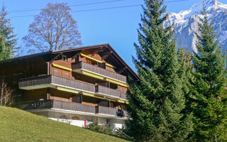 Náhled objektu Bodmisunne, Grindelwald, Jungfrau, Eiger, Mönch Region, Švýcarsko
