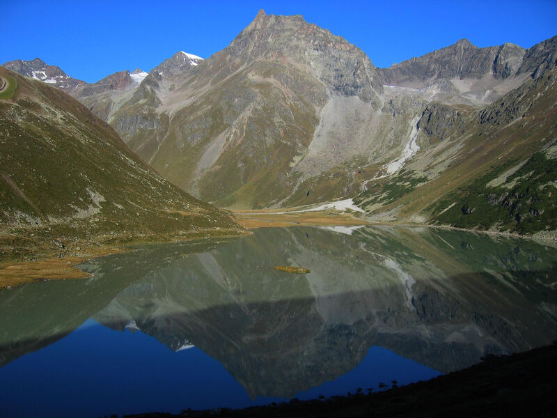 Alpina Nature & Wellness