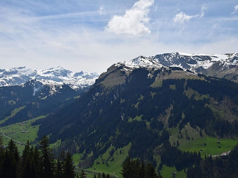 Alphütte Gibelhüttli