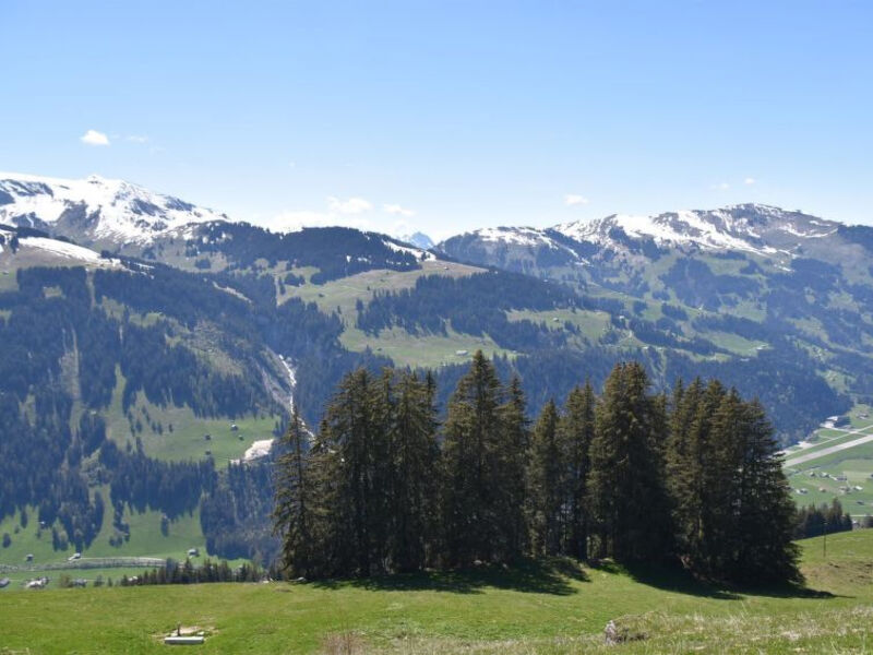 Alphütte Weissenberg