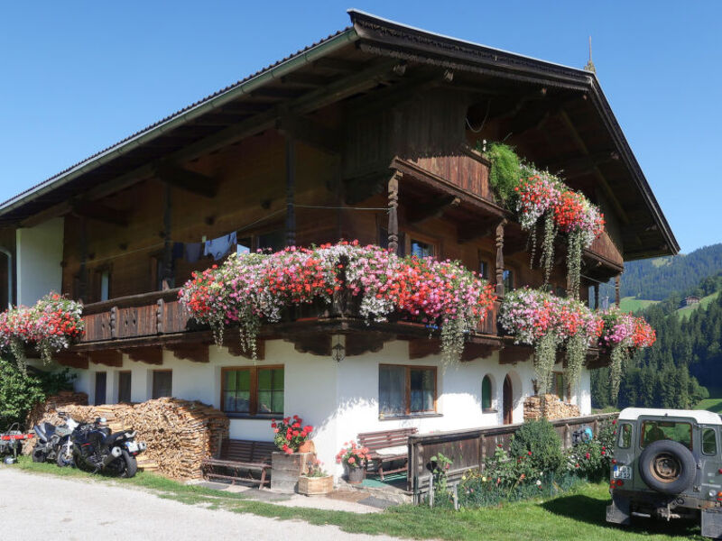 Haus Oberweissbach (WIL315)
