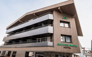 Náhled objektu Grüner Baum, Zell am See, Kaprun / Zell am See, Rakousko