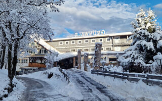 Náhled objektu Grünwald, Obereggen, Val di Fiemme / Obereggen, Itálie