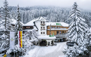 Náhled objektu GUT Trattlerhof & Chalets, Bad Kleinkirchheim, Bad Kleinkirchheim, Rakousko