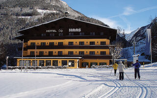 Náhled objektu Haas, Böckstein, Gastein / Grossarl, Rakousko