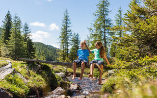 Náhled objektu Trattlerhof, Bad Kleinkirchheim, Bad Kleinkirchheim, Rakousko
