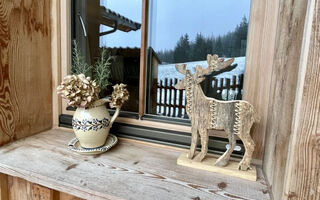 Náhled objektu Holzerjuwel, Auffach, Alpbachtal / Wildschönau, Rakousko