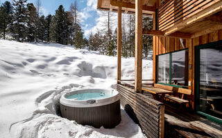 Náhled objektu Alpenpark Turracher Höhe, Turracher Höhe, Turracher Höhe / Murau / Lachtal, Rakousko