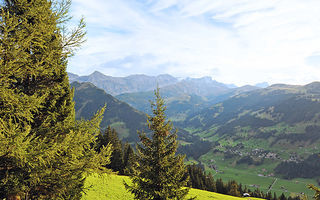 Náhled objektu Chalet Bühlweidli, Lenk im Simmental, Adelboden - Lenk, Švýcarsko