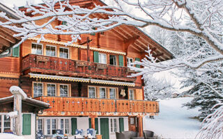 Náhled objektu Chalet Jrene, Grindelwald, Jungfrau, Eiger, Mönch Region, Švýcarsko