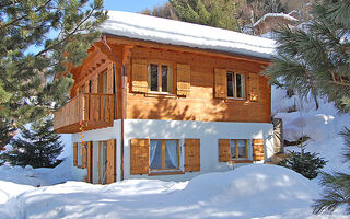 Náhled objektu Chalet Picardie, Nendaz, 4 Vallées - Verbier / Nendaz / Veysonnaz, Švýcarsko