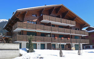 Náhled objektu Diablerets-Parc A/B/C, Les Diablerets, Villars, Les Diablerets, Švýcarsko