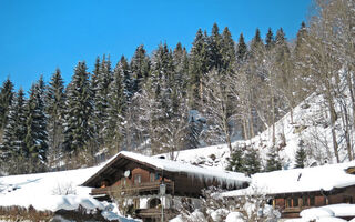 Náhled objektu Eusch, Hinterglemm, Saalbach - Hinterglemm / Leogang / Saalfelden, Rakousko