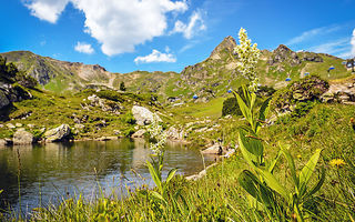 Náhled objektu family plus, Obertauern, Lungau / Obertauern, Rakousko