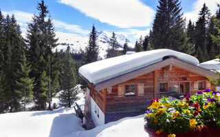 Náhled objektu Ferienappartments Astn Hütten, Königsleiten, Oberpinzgau, Rakousko