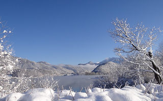 Náhled objektu Forsthaus, Strobl am Wolfgangsee, Salzkammergut / Ausseerland, Rakousko