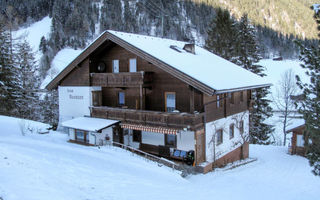 Náhled objektu Haus Neumann, Finkenberg, Zillertal, Rakousko