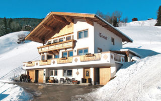 Náhled objektu Haus Tennhof, Zell am Ziller, Zillertal, Rakousko