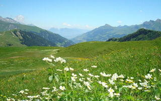 Náhled objektu Huus Horbütze, Adelboden, Adelboden - Lenk, Švýcarsko