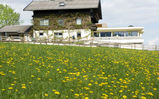 Náhled objektu Mitteregg, Mittersill, Oberpinzgau, Rakousko