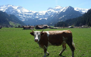 Náhled objektu Roserta, Lenk im Simmental, Adelboden - Lenk, Švýcarsko