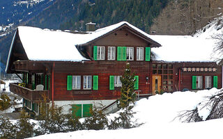 Náhled objektu Schwendihus, Grindelwald, Jungfrau, Eiger, Mönch Region, Švýcarsko