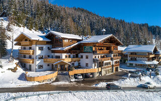 Náhled objektu Grünholz, Mühlbach am Hochkönig, Hochkönig Winterreich, Rakousko