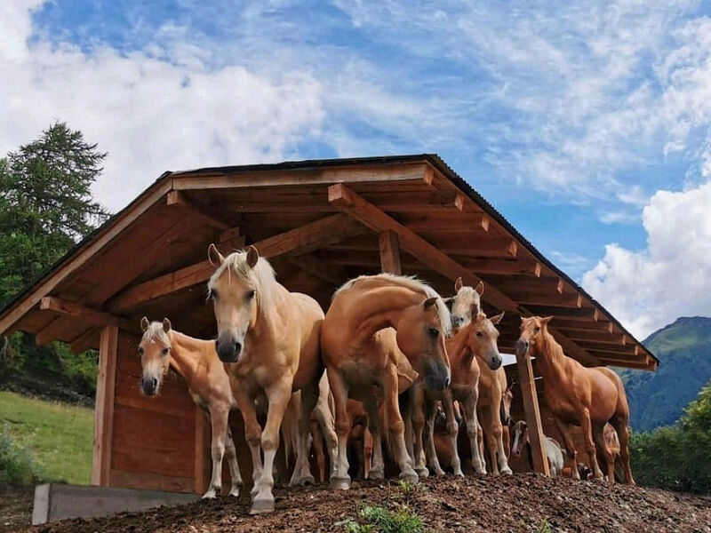 Agriturismo Donec