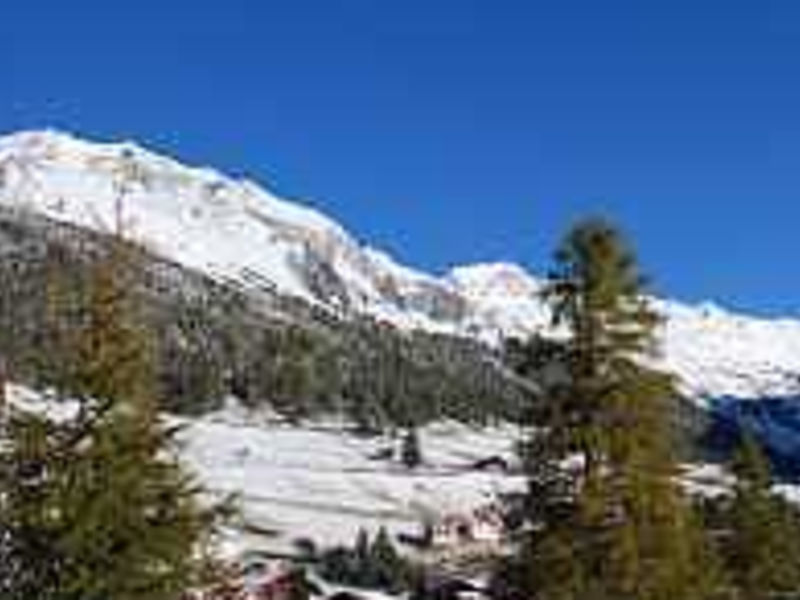 Alpenrast