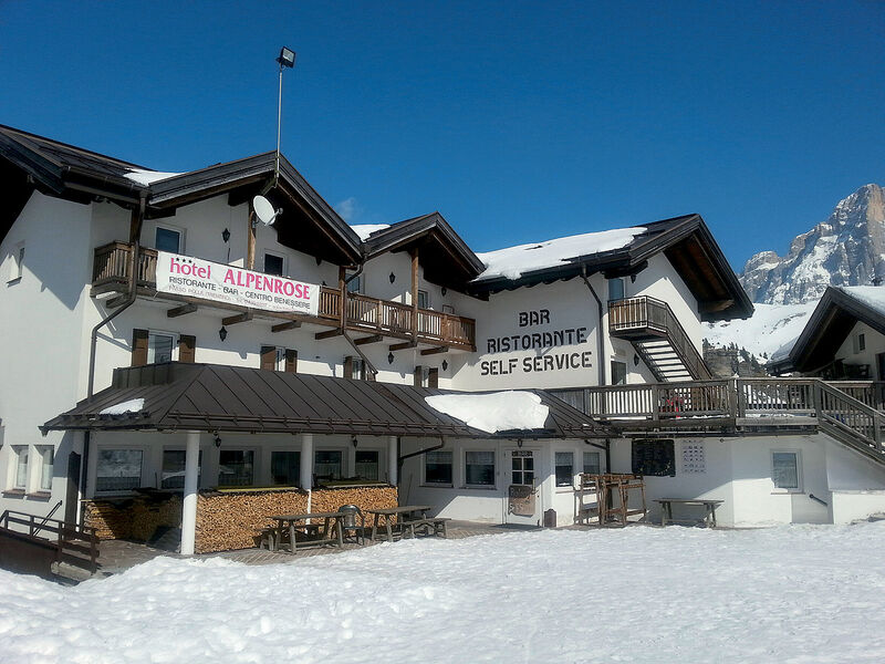 Alpenrose