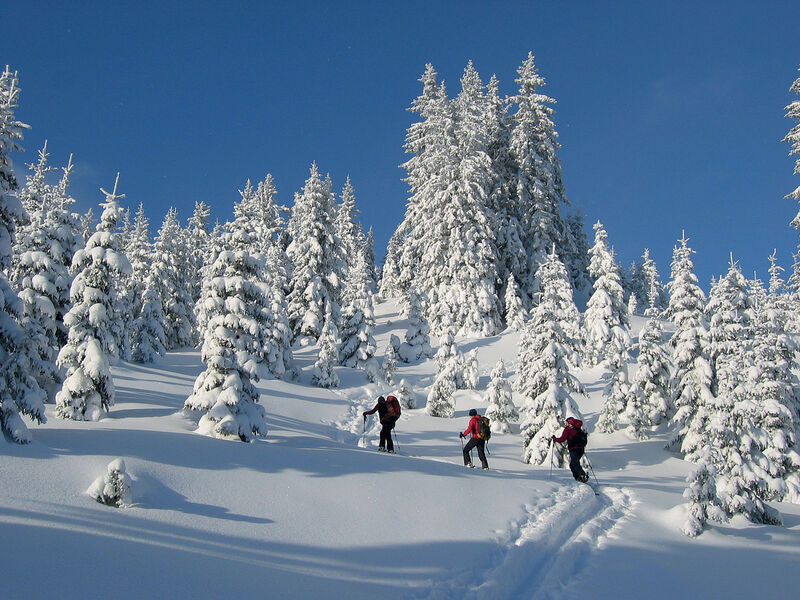 Alpin Resort Erzberg