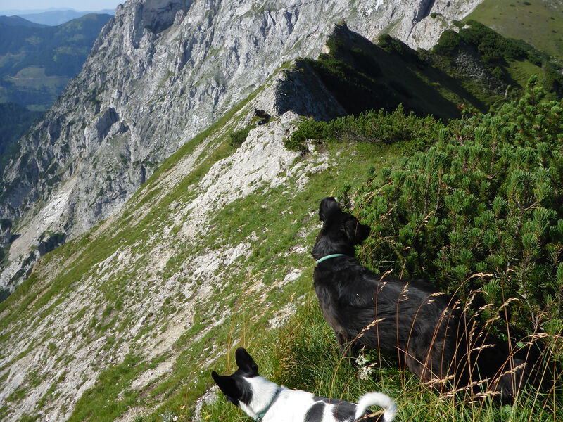 Alpin Resort Erzberg