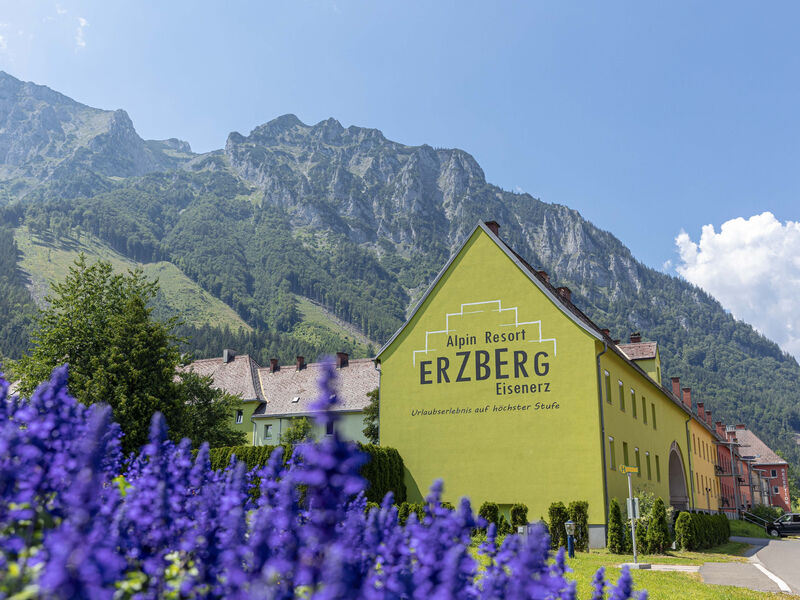 Alpin Resort Erzberg