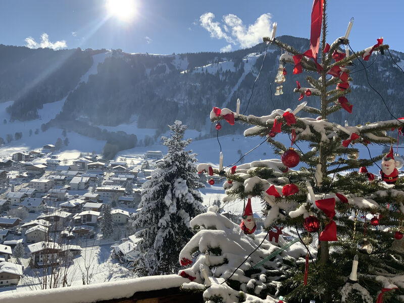 Chalet Tiroler Naturschlaf