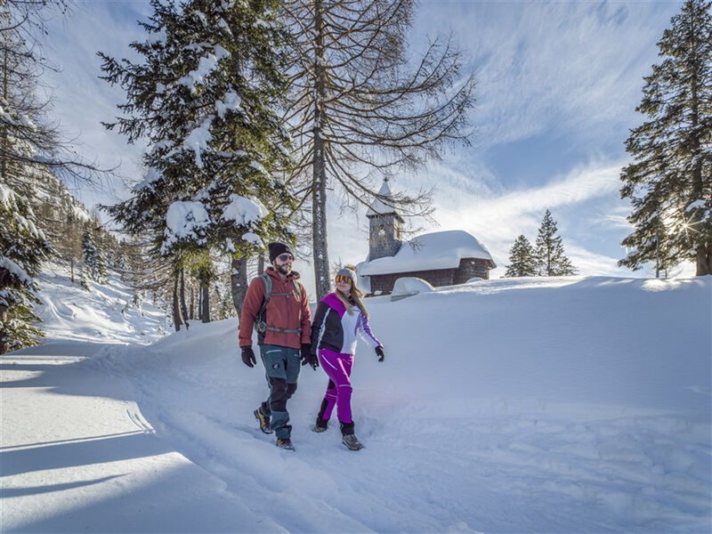 Falkensteiner Sonnenalpe