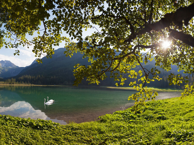 Familien- und Wellnesshotel Der Hanneshof - Das Montana