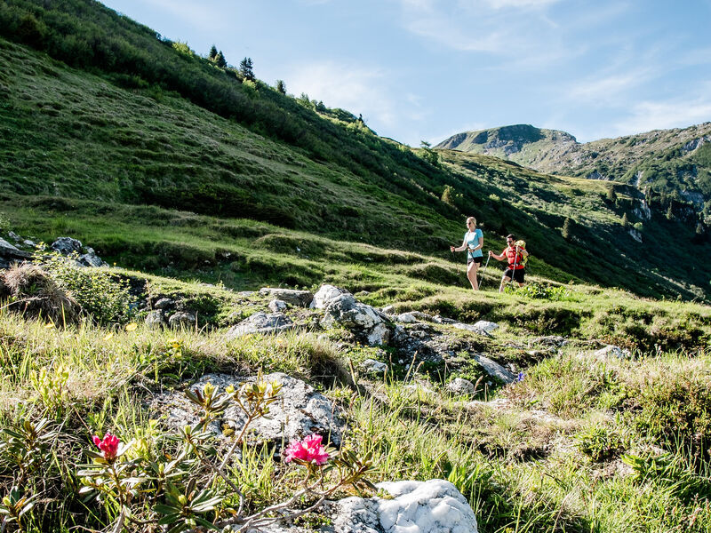 Familien- und Wellnesshotel Der Hanneshof - Das Montana