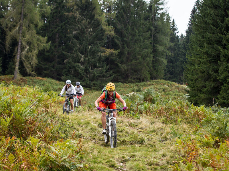Familien- und Wellnesshotel Der Hanneshof - Das Montana