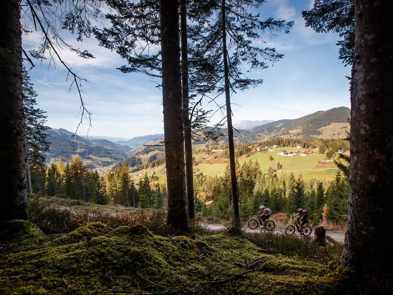 Familien- und Wellnesshotel Der Hanneshof - Das Montana