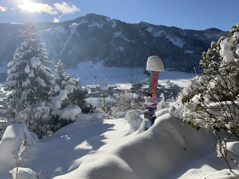 Ferienwohnung Tiroler Naturschlaf