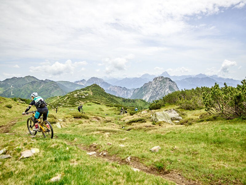 Franz Ferdinand Mountain Resort