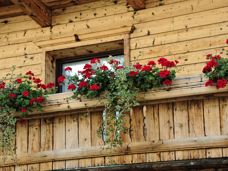 Gasthof Traube