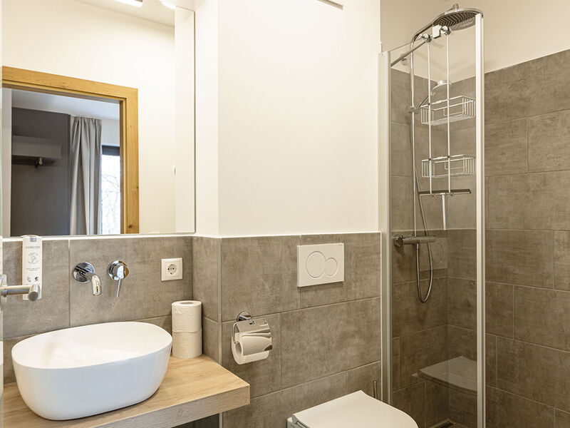 Hideaway Dachstein West by ALPS RESORTS