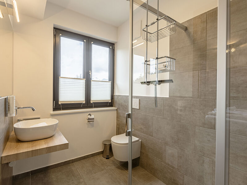 Hideaway Dachstein West by ALPS RESORTS