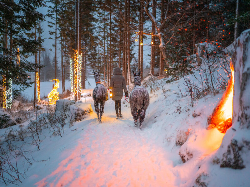Mallnitz SKI OPENING Advent