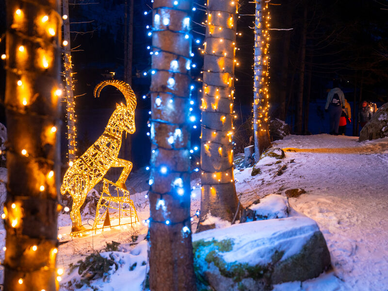 Mallnitz SKI OPENING Advent
