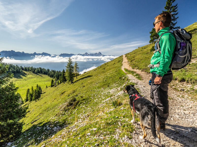 Naturel Hoteldorf Schönleitn
