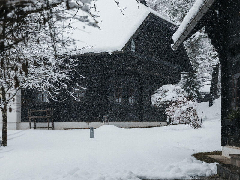 Naturel Hoteldorf Schönleitn