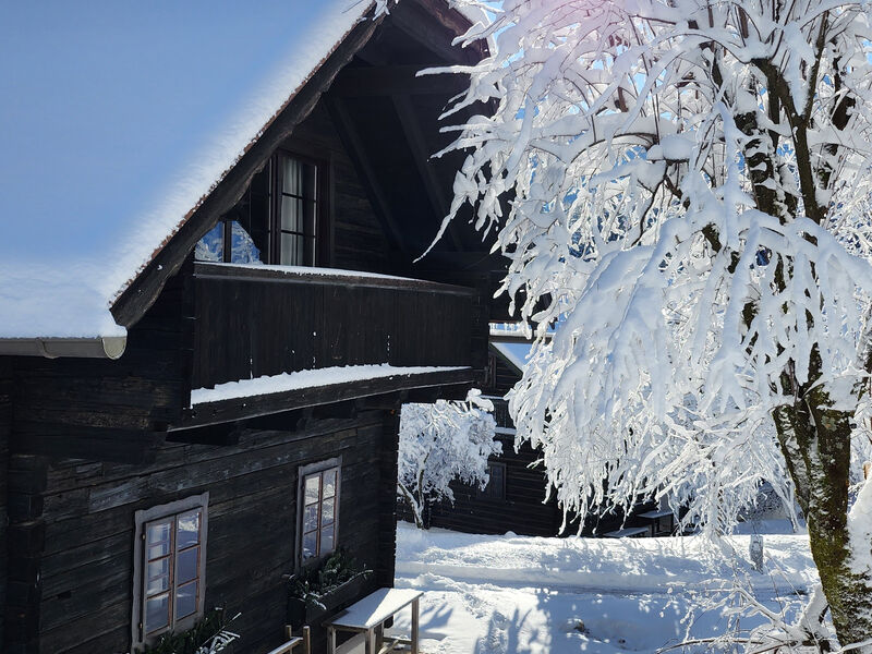 Naturel Hoteldorf Schönleitn